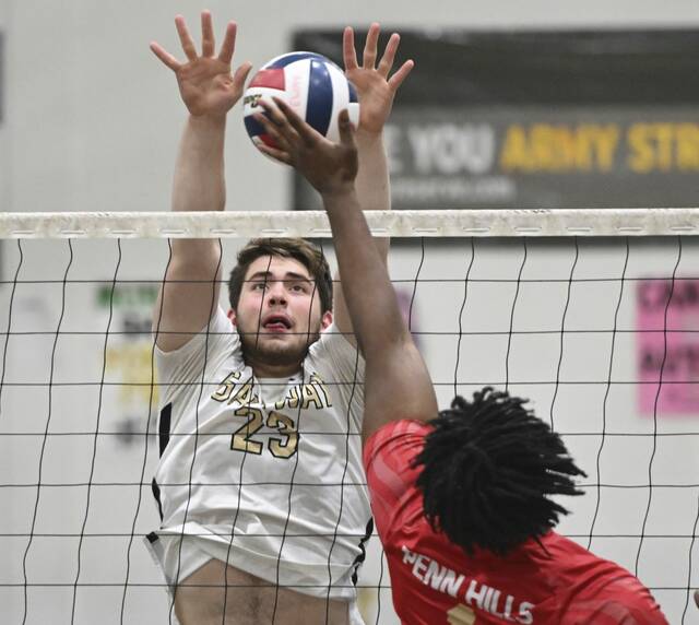 Ranked WPIAL boys volleyball teams aim to remain in contention during season’s stretch run