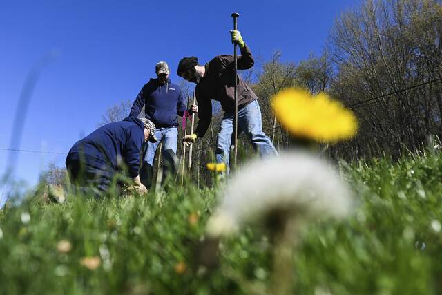 7273630_web1_gtr-lo-treeplanting001-042324