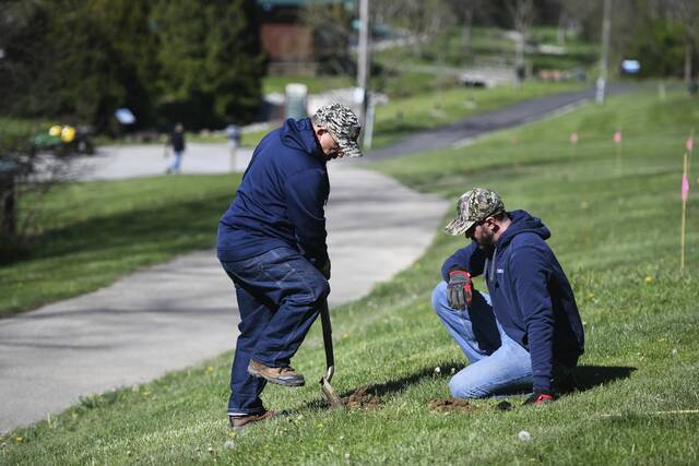 7273630_web1_gtr-lo-treeplanting002-042324
