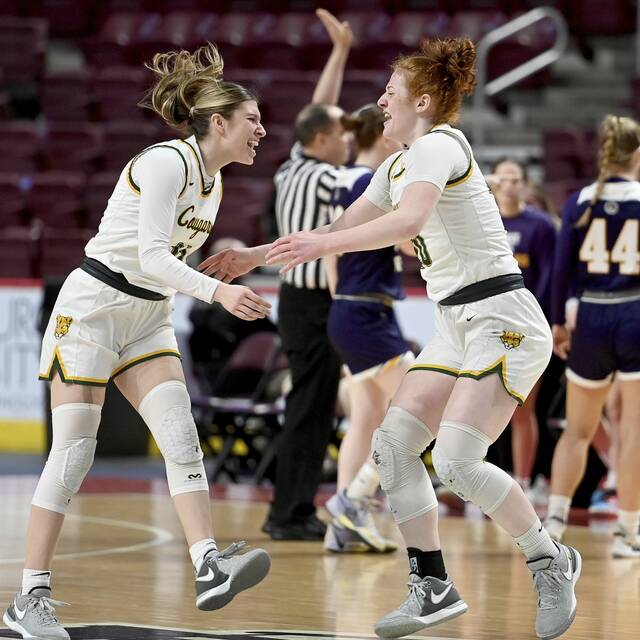 19 WPIAL players picked for 2024 all-state girls basketball team