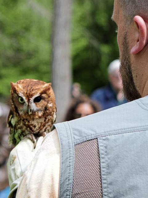 7300594_web1_naj-birdsofprey-050924-2
