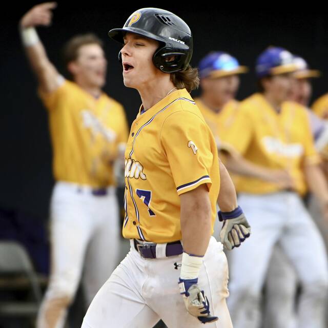 High school roundup for April 30, 2024: Neshannock ends Riverside baseball’s win streak at 36