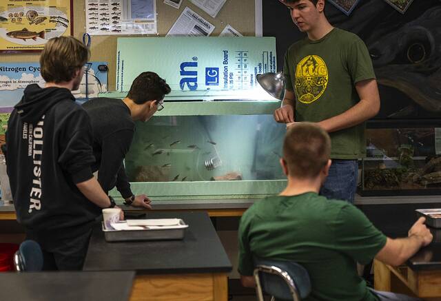 7252312_web1_gtr-troutclass1-2--042524