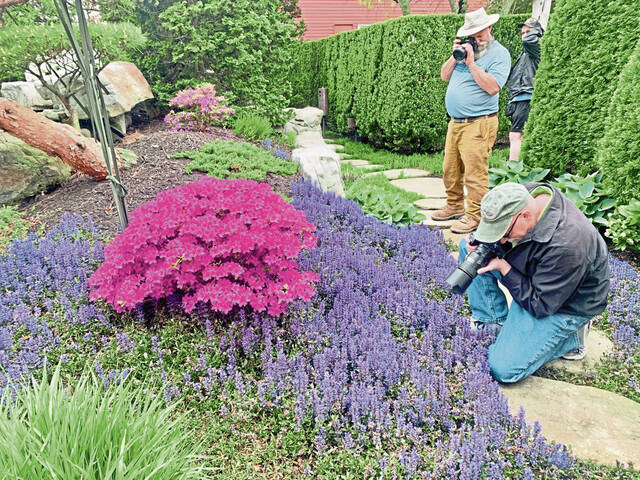7301400_web1_vnd-garden1-050224