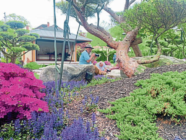 7301400_web1_vnd-garden2-050224