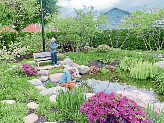 7301400_web1_vnd-garden4-050224
