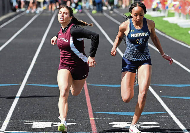 Norwin notebook: Knights clean up at county meet