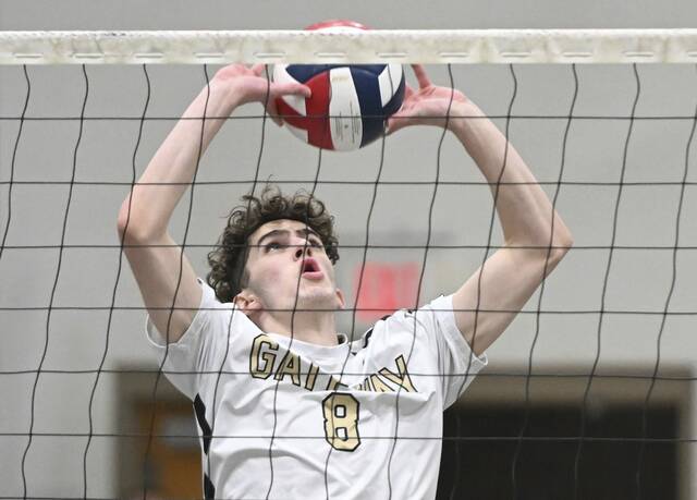 WPIAL boys volleyball playoff clinchings through May 5, 2024