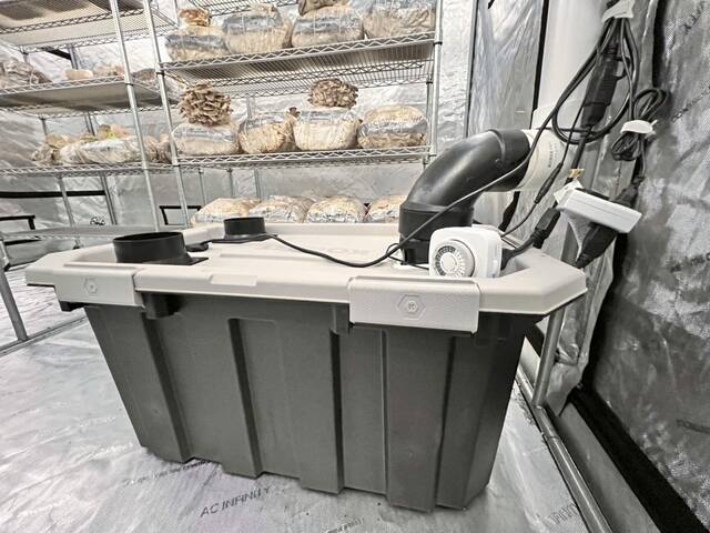 7318691_web1_vnd-MushroomFarm-050824