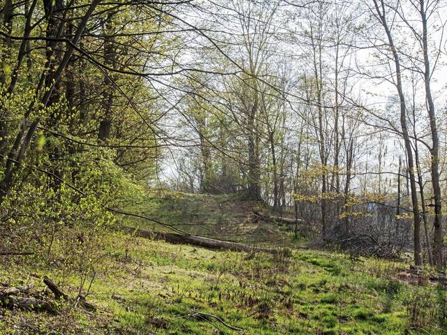 7340209_web1_nhj-altrossconservation-052324-5