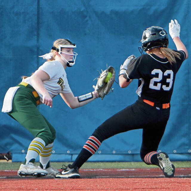 Fisher’s Files: Bethel Park spring athletes earn high marks
