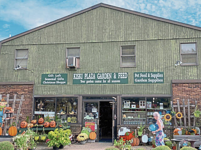 7354396_web1_vnd-Kiski4Sale-101221-5