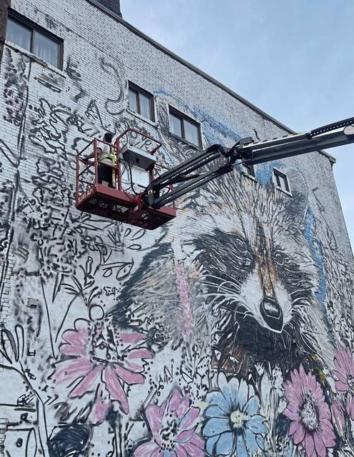 7365732_web1_ptr-raccoonmural-052124-2