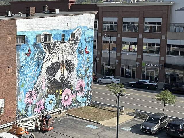 7365732_web1_ptr-RaccoonMural-052124-3