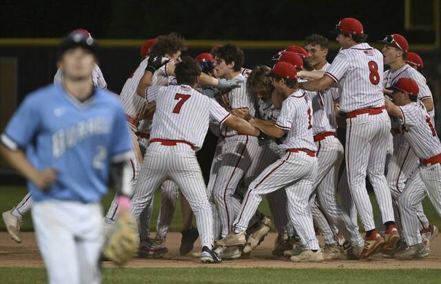 Avonworth sophomore delivers walk-off hit against Burrell in Class 3A semifinals