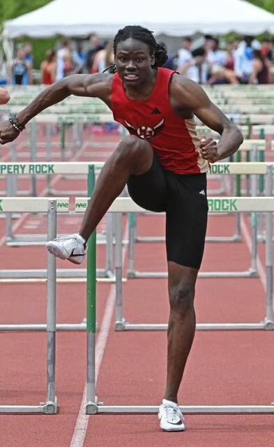 Perseverant Penn Hills sends contingent of runners to state meet