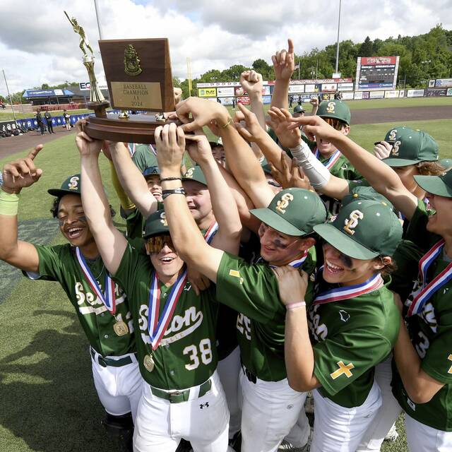 Underdogs from Seton LaSalle top Serra Catholic again to repeat as WPIAL Class 2A baseball champs