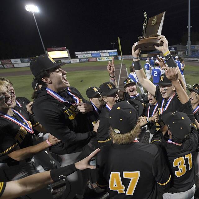 North Allegheny’s David Posey turns tables, no-hits Mt. Lebanon for WPIAL Class 6A baseball title