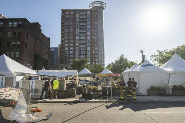 7402247_web1_ptr-artsfestfire13-060124