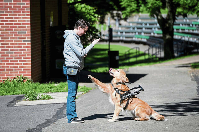 7233236_web1_gtr-ServiceDog005-060124