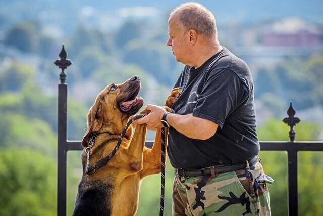 7349312_web1_wep-gbgbloodhound2