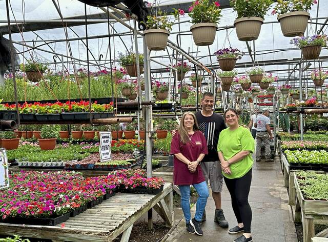 7374114_web1_php-FrankstownGardens-052324