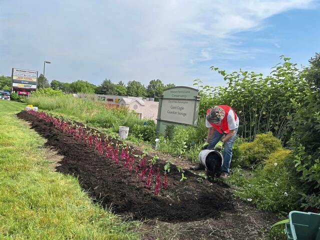 7387626_web1_vep-lo-ScenesGarden2-060224