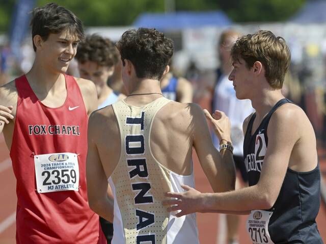 Fox Chapel’s Rowan Gwin part of WPIAL distance running dominance at state meet