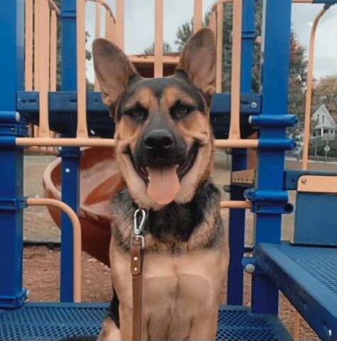 7405394_web1_gtr-HunkerDogs20211206_0509