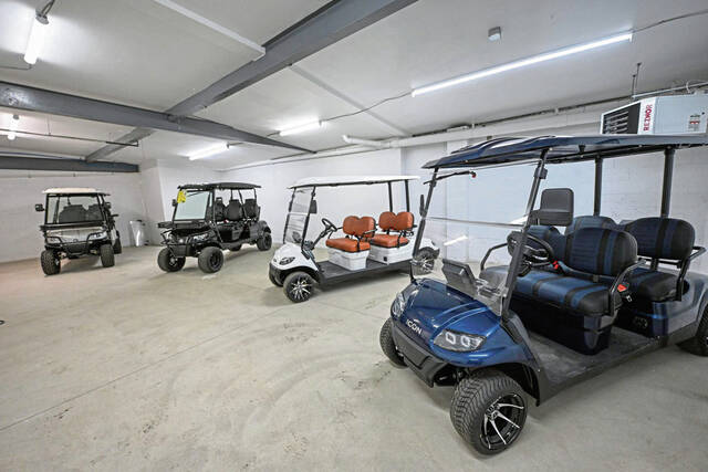 7423501_web1_vnd-golfcarts3-060824