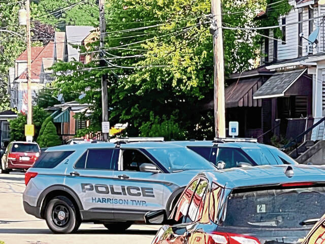 7432422_web1_vnd-harrisonincident-061224--1-
