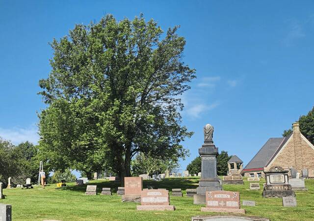 7436706_web1_gtr-headstones10-061324