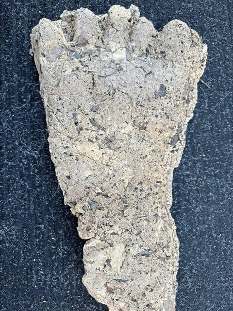 7441595_web1_gtr-BigfootPrint1-061524