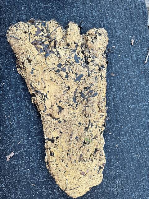 7441595_web1_gtr-BigfootPrint2-061524