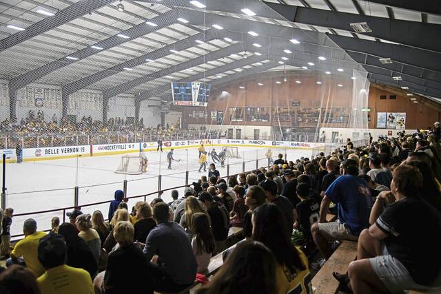 7449193_web1_gtr-HockeyVille-011219