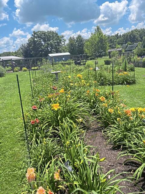 7451706_web1_wep-GardenerAward3-062324