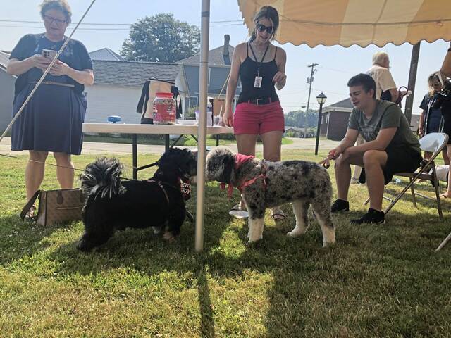 7470821_web1_wep-PetBlessing3-062924