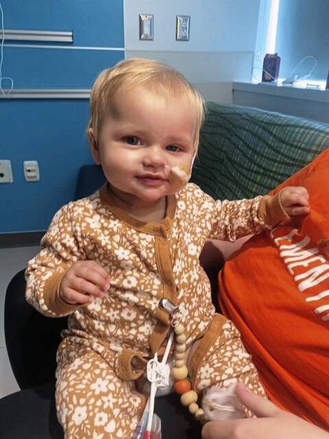 7481278_web1_naj-clementine-070424-2