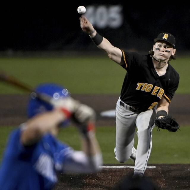 2024 TribLive HSSN Terrific 10 Baseball All-Stars