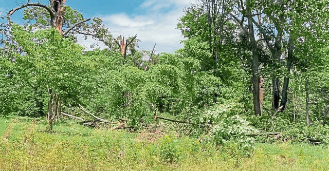 7489208_web1_gtr-morestorms05-062924