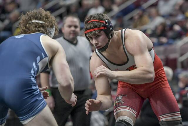 2023-24 parade of individual champions in WPIAL sports