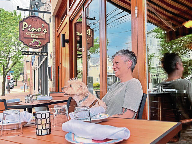 7411278_web1_vnd-Dogoutdoordining-060624-5