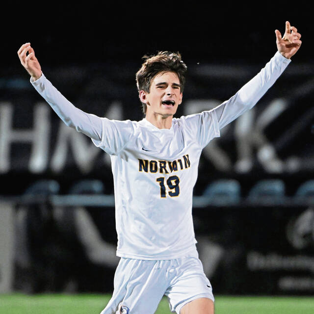 Notable changes to the 2024-25 WPIAL boys soccer alignment