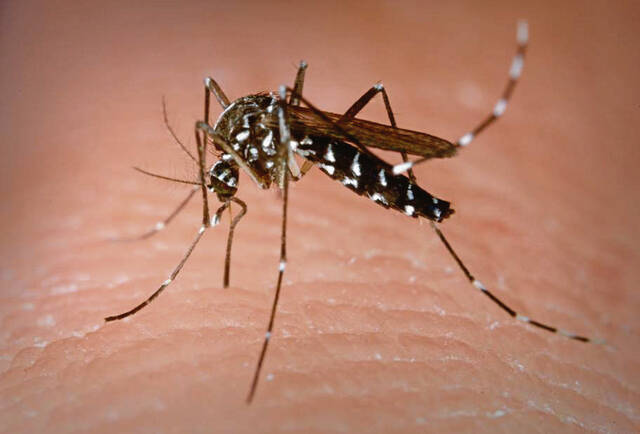 7499634_web1_ptr-mosquito-072518