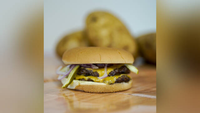 7504462_web1_Bungalow-Burger-WEB