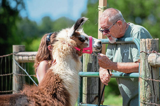 7519745_web1_gtr-LlamasFair2-071124