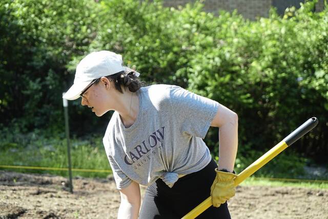 Food for all: Carlow University garden in Oakland is the vision of a student from Bethel Park