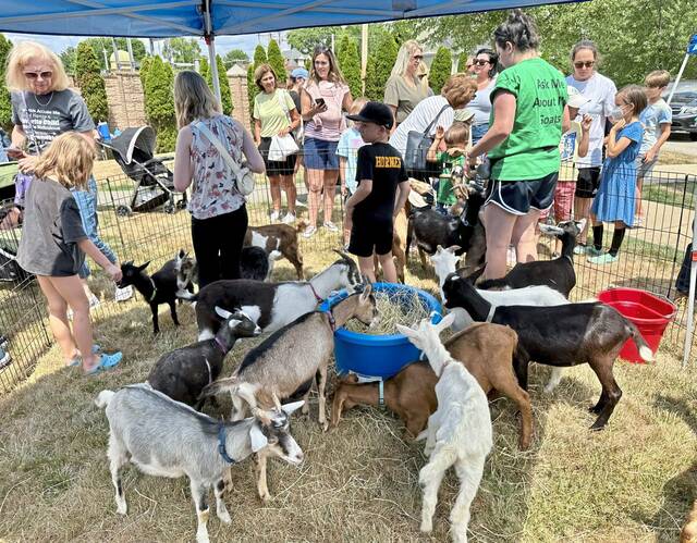 7553334_web1_vnd-GoatReading-072524--2-