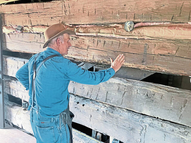 7553812_web1_gtr-logcabinguy3