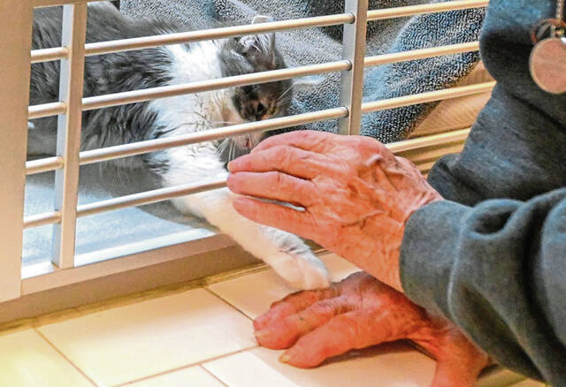 7566466_web1_vnd-ServiceAnimals102-073024